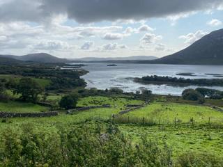 Scenic view over green grass and lake near Galway